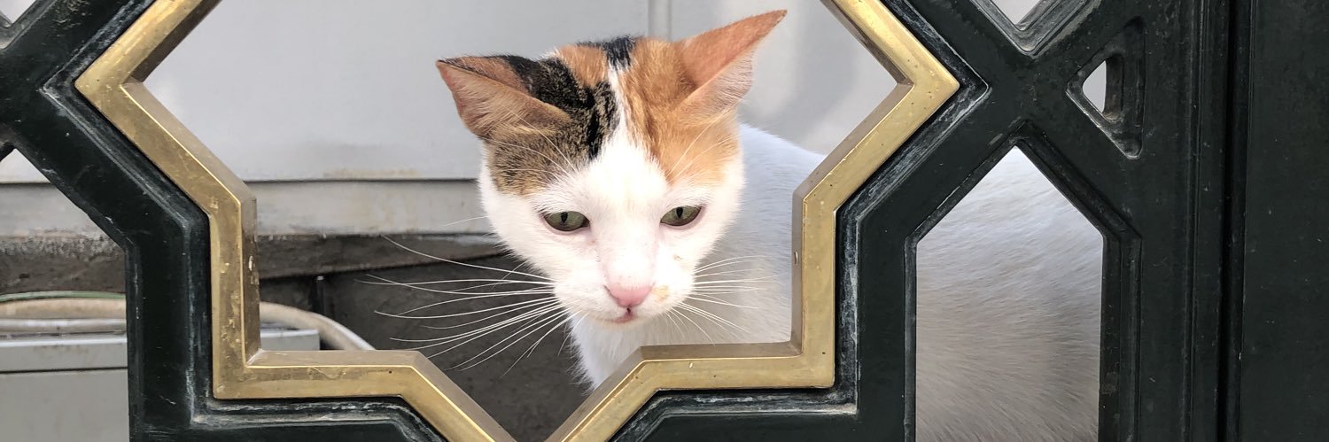 Suwanto Raharjo banner