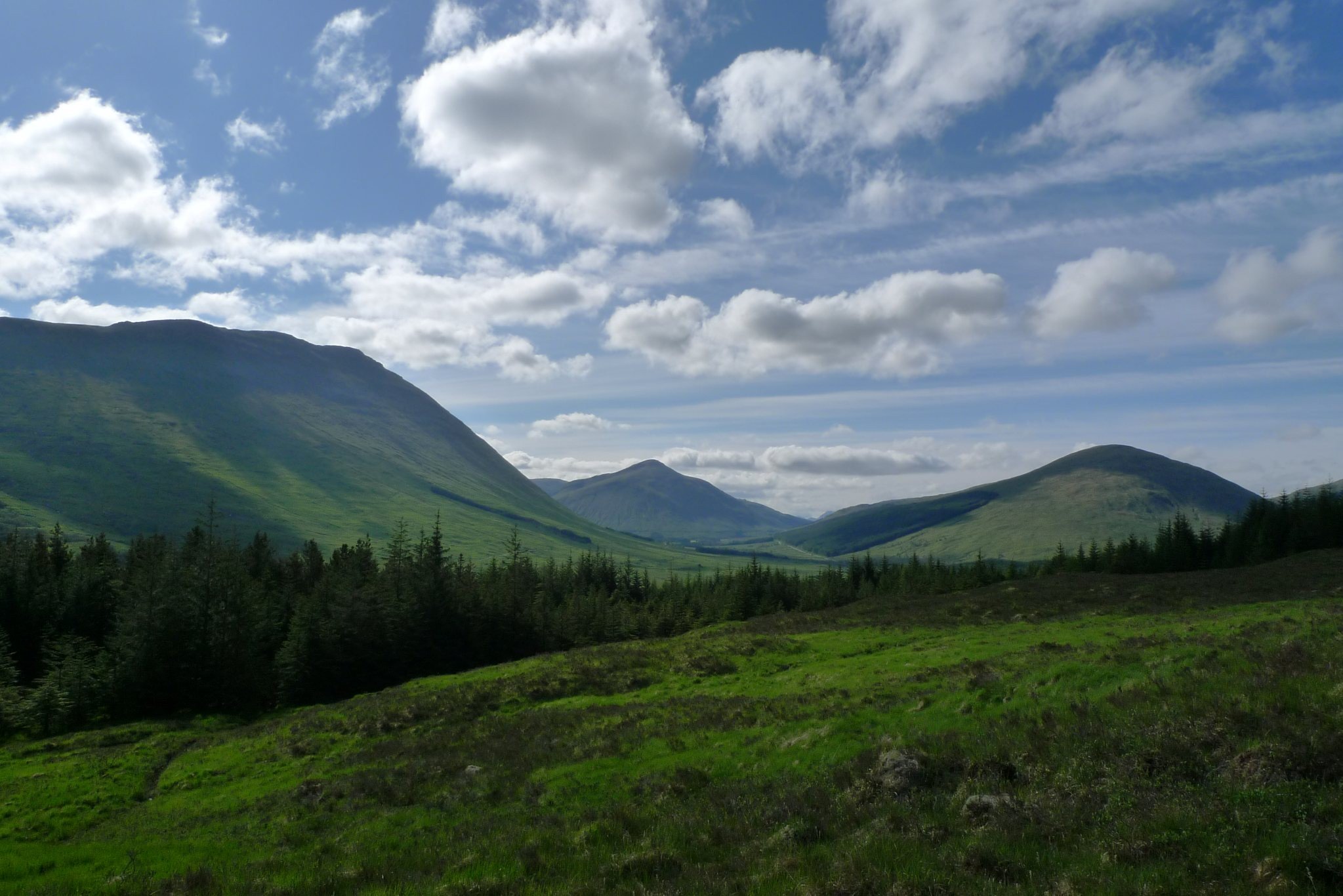 Nessie244's profile banner image