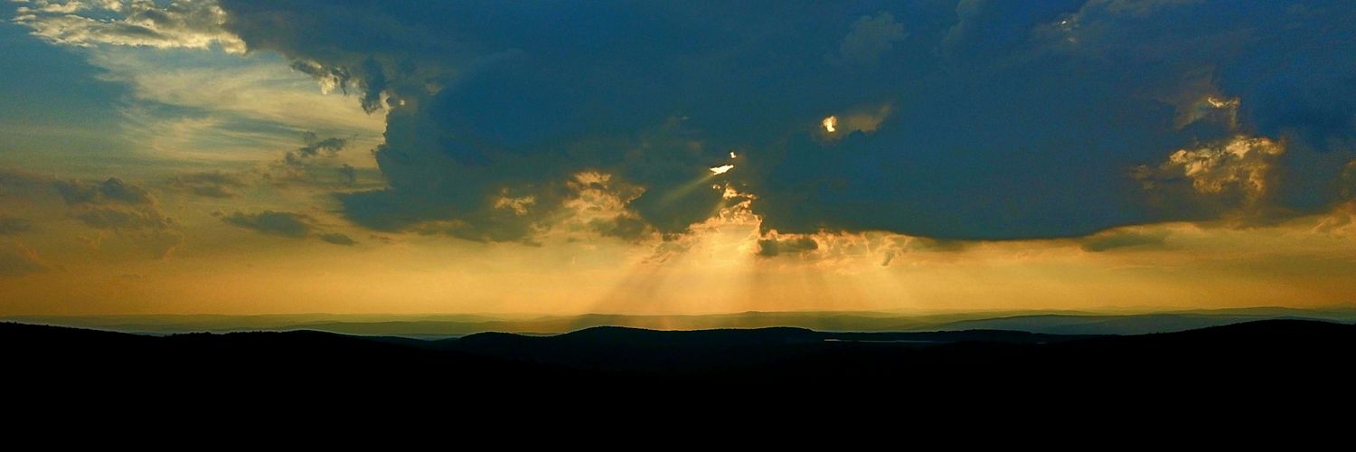 swelenc's profile banner image