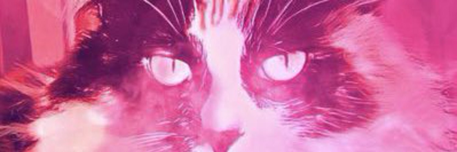 PinkTeeCat's profile banner image