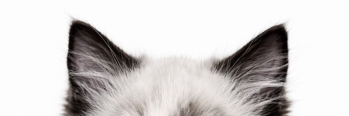 ahri banner