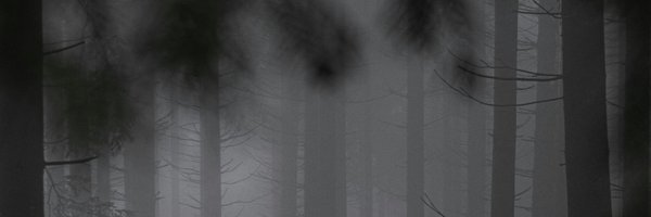 N1GHTMXR_ Profile Banner