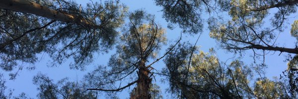 WildernessVIC Profile Banner