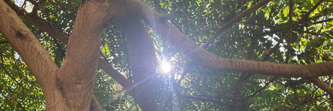 GehadNSaEid's profile banner image