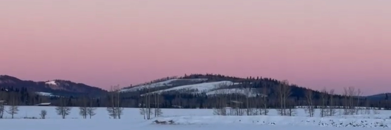 alijnewton's profile banner image