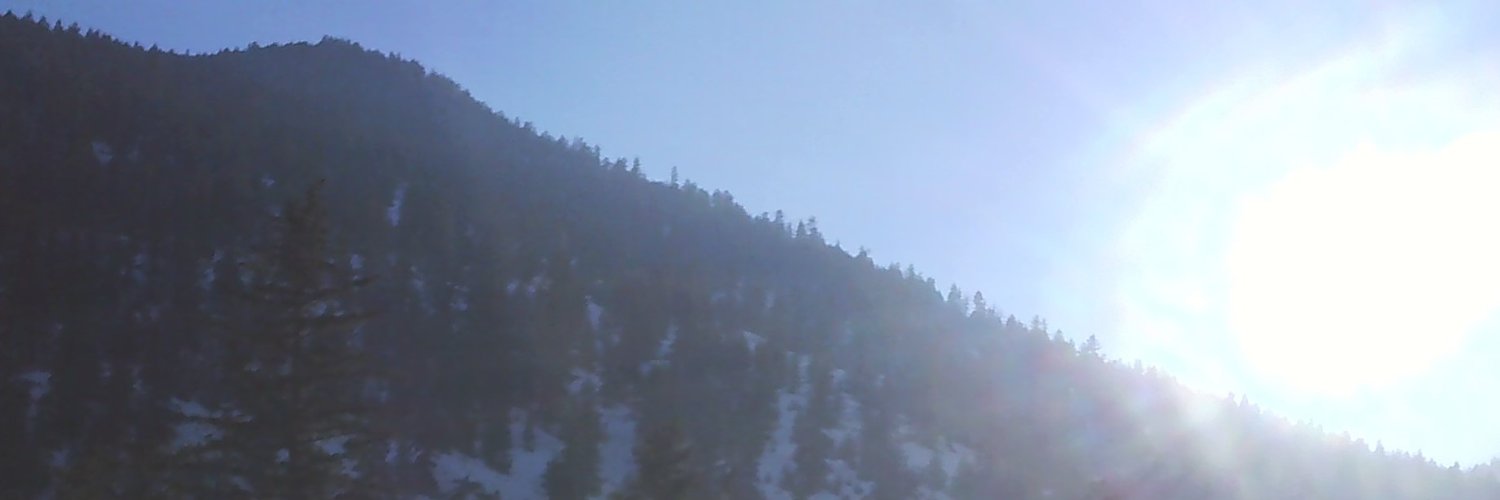 Colin Taylor banner