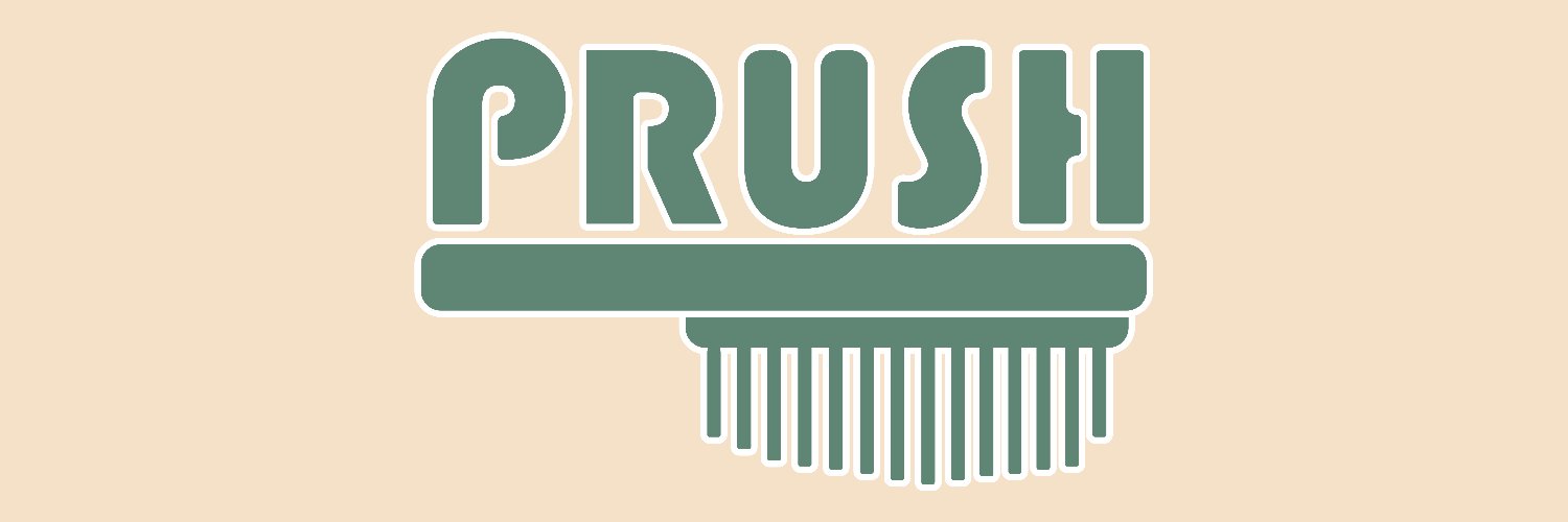 PrushBrush's profile banner image