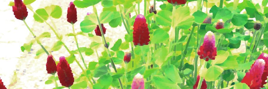 ichiaki03's profile banner image