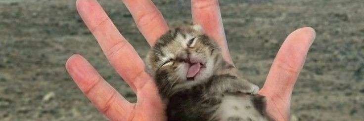 pineapple🍍🔞 banner