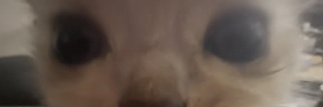 sissymcdoo's profile banner image