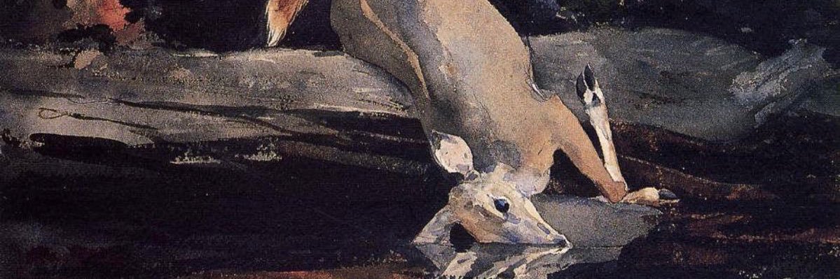 ִֶָ's banner