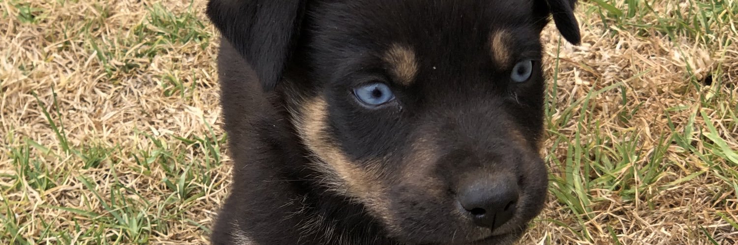 efrenmil's profile banner image