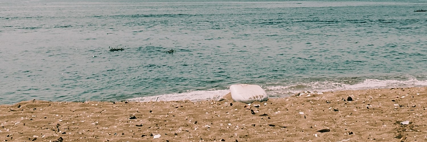 AngieLunatic's profile banner image