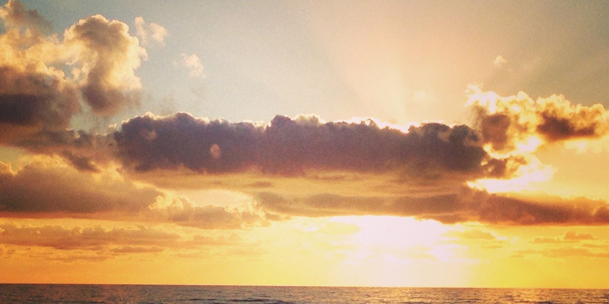 Dr Roman Turro banner