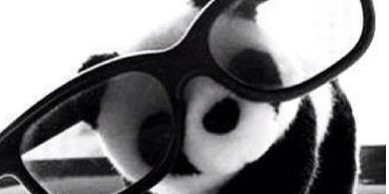 BarbaraPalvinTI's profile banner image
