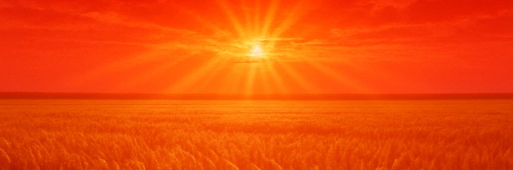 Carmine Fields's banner