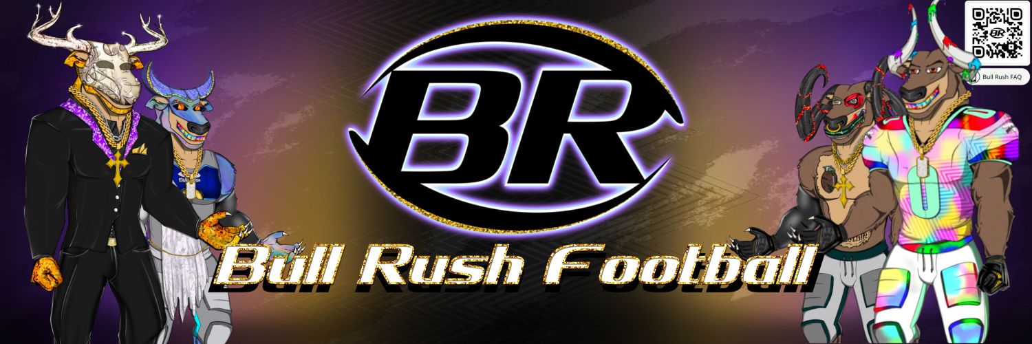 RevZempoe | BullRushFootball banner