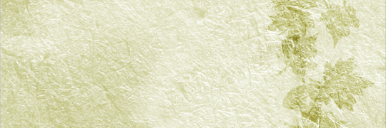 sproutz's profile banner image
