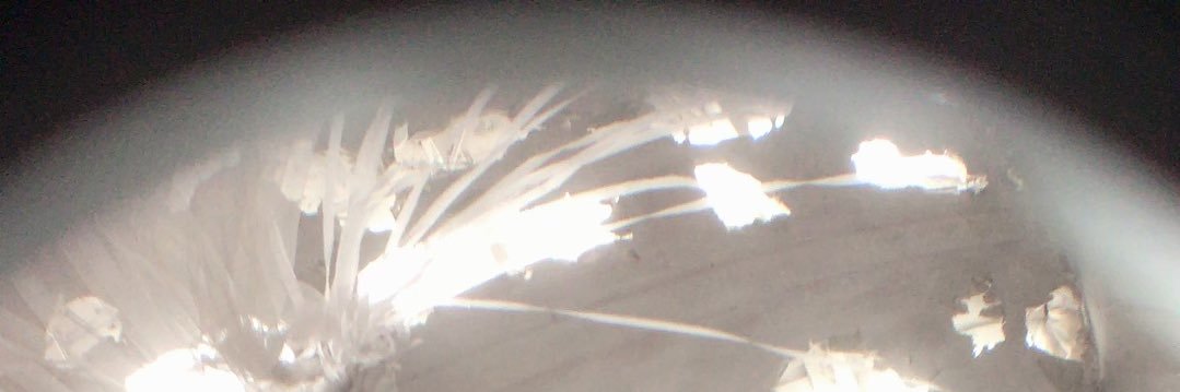 キカ banner