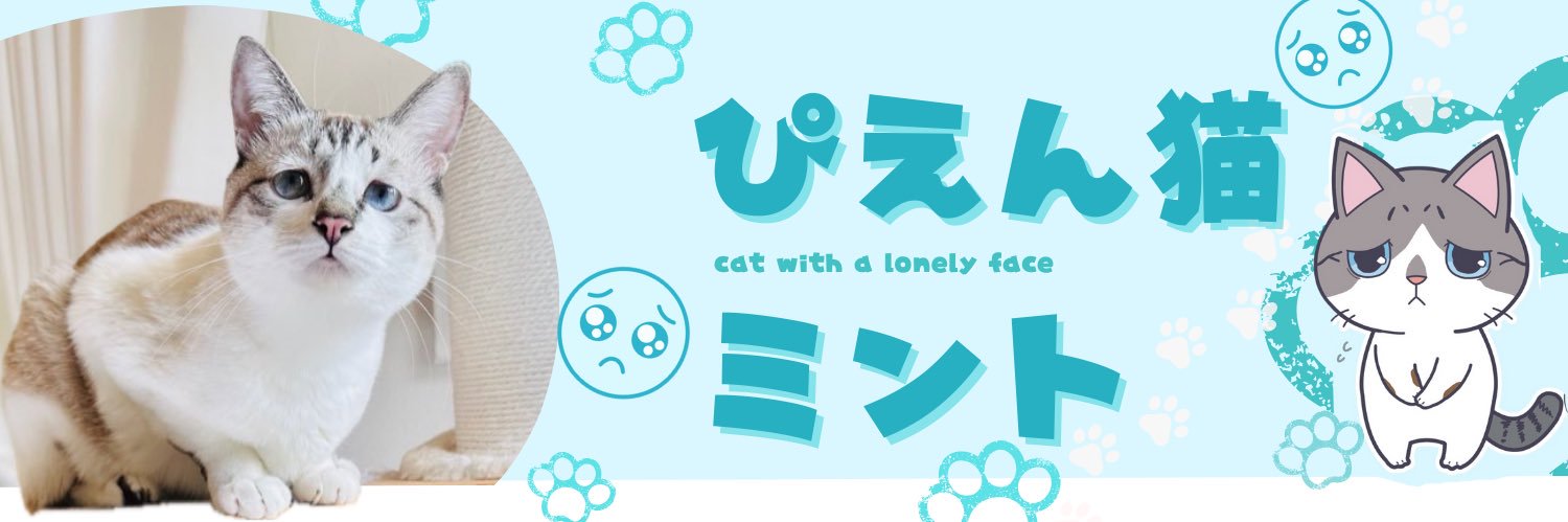 ぴえん猫ミント's banner