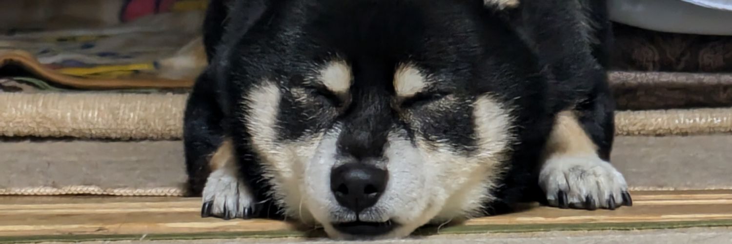 𝕂𝕌ℝ𝕆 banner