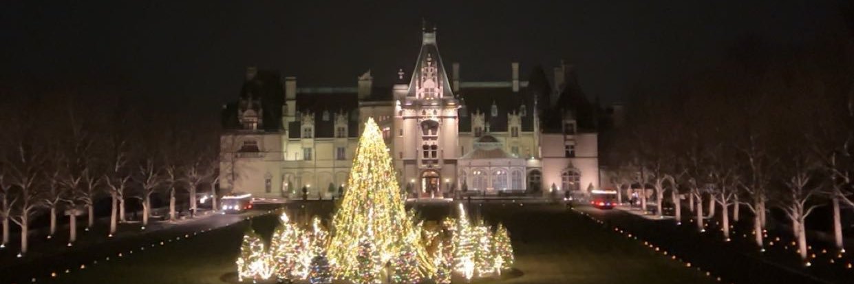 Ashton Dillard🇺🇸 banner