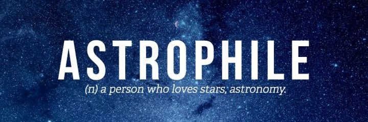 taradiddles's profile banner image
