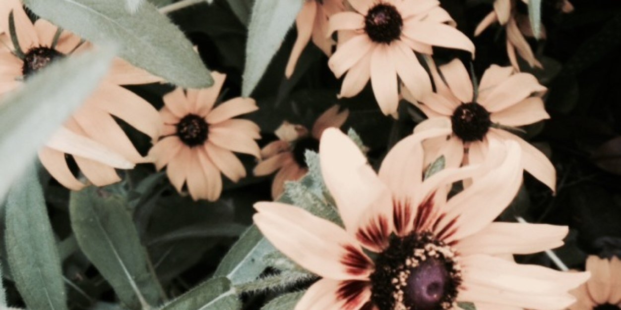 simplymaggiee's profile banner image