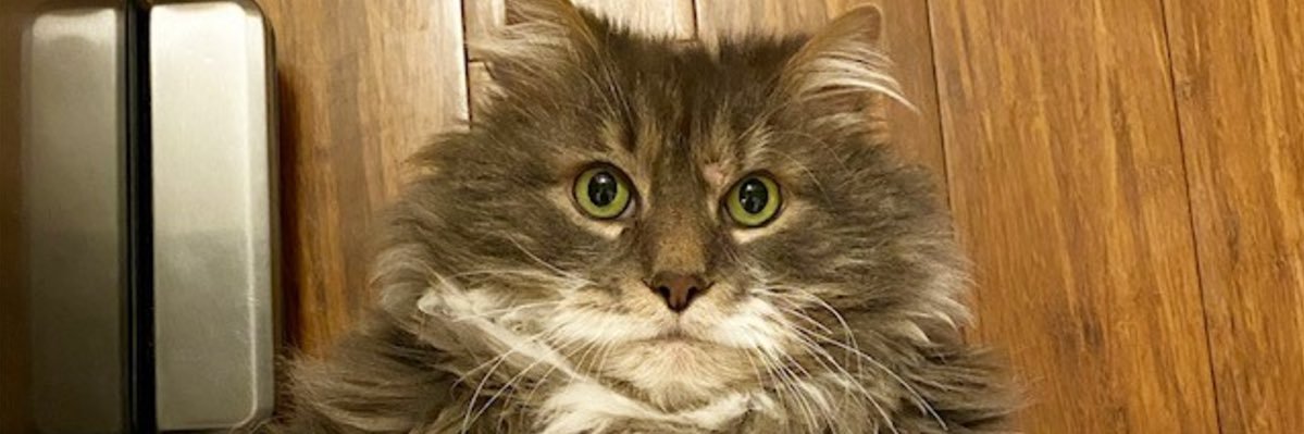 AllenWrench's profile banner image