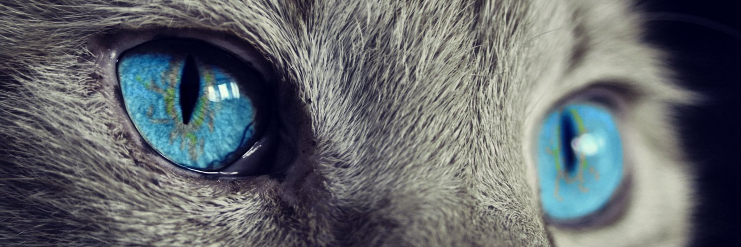 stevens210's profile banner image