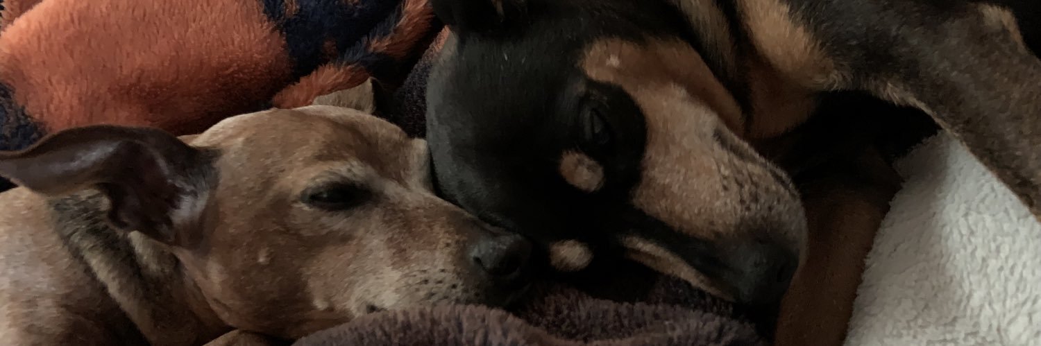 lexibustaa's profile banner image