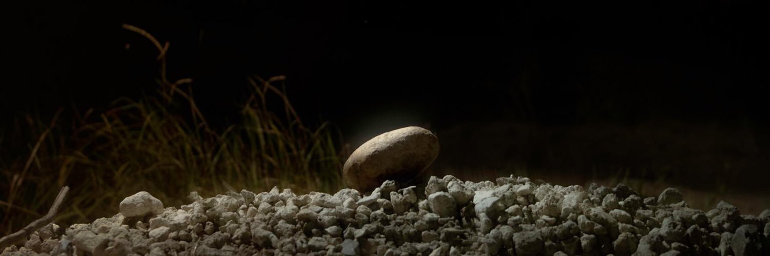 Little__cho's profile banner image