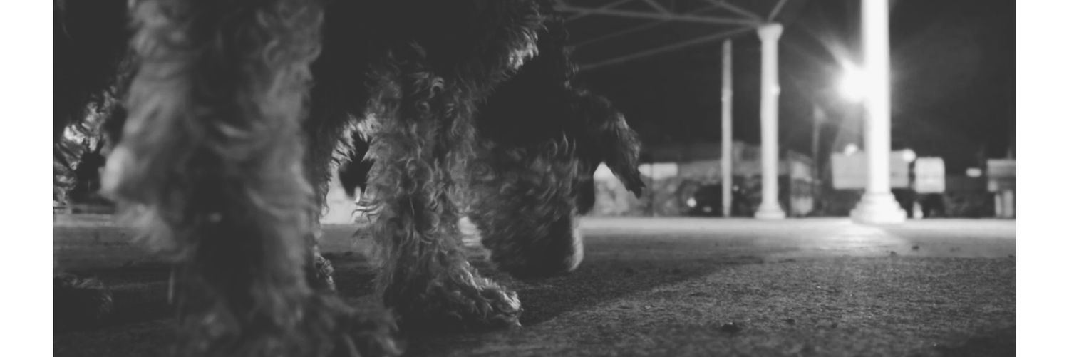 ____o_pale's profile banner image