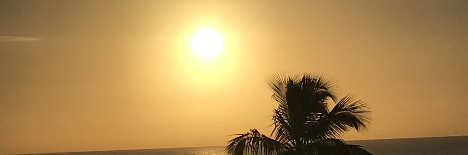 Carla Galeb banner