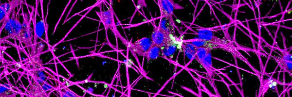 CAMAND_Neuro Profile Banner