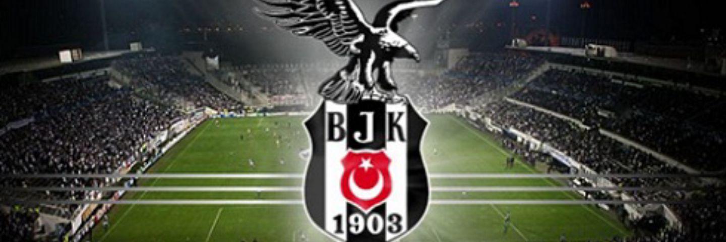 zulalgok's profile banner image