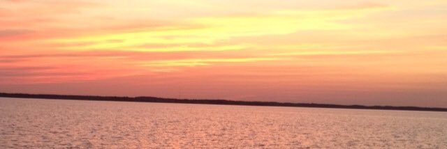 msacks98's profile banner image