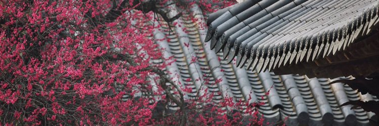 김연미 KIM, YEON MI banner