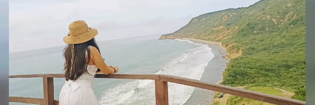 vielkasoledispa's profile banner image