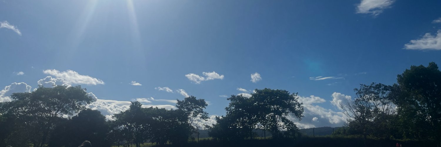 stellasuja's profile banner image