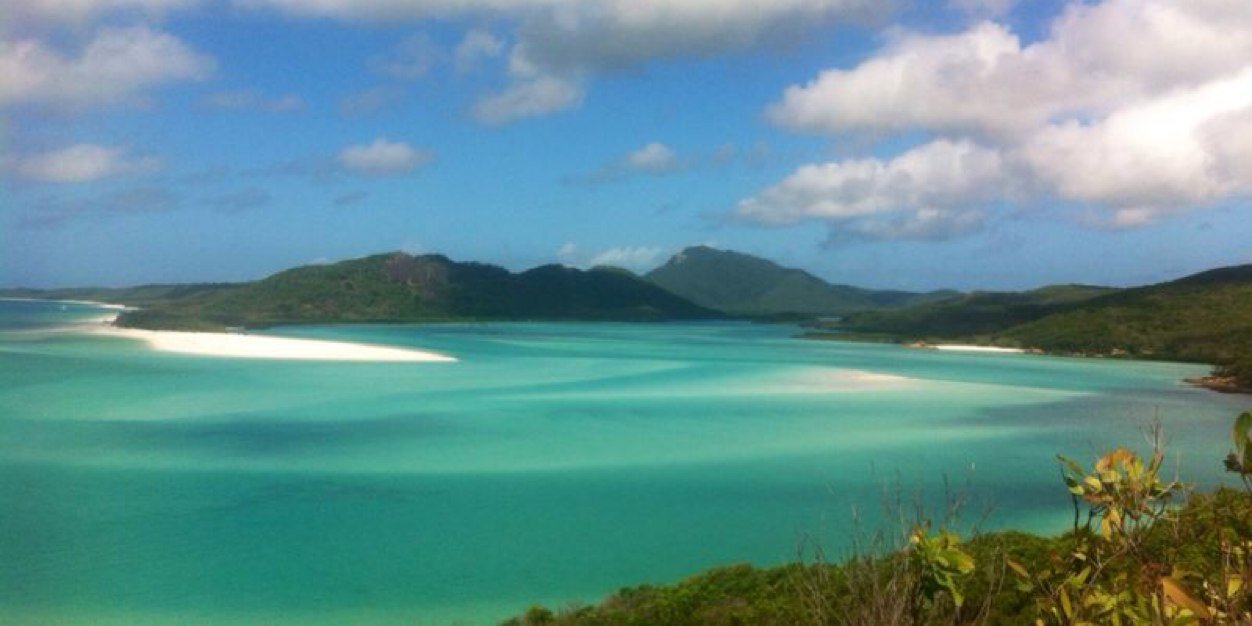 Dani Rodriguez banner