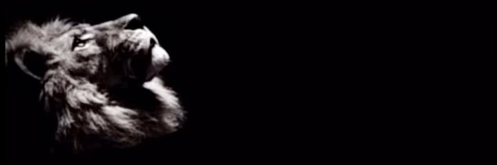 y78ly_511's profile banner image