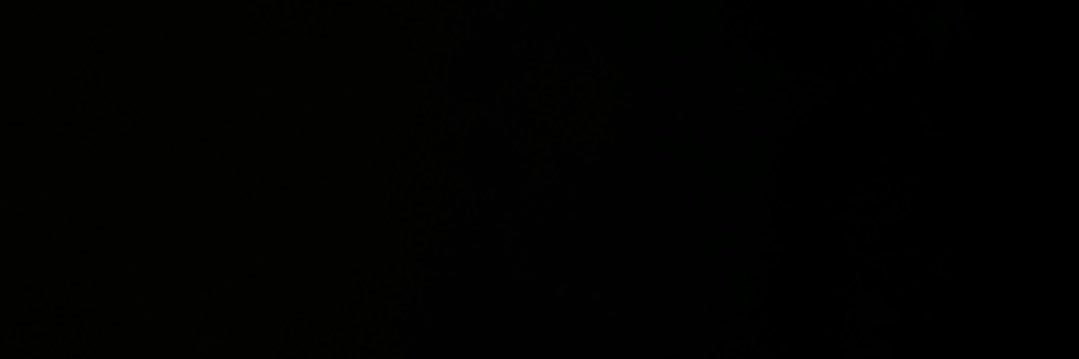 ren banner