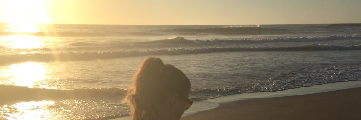 35Stevo's profile banner image