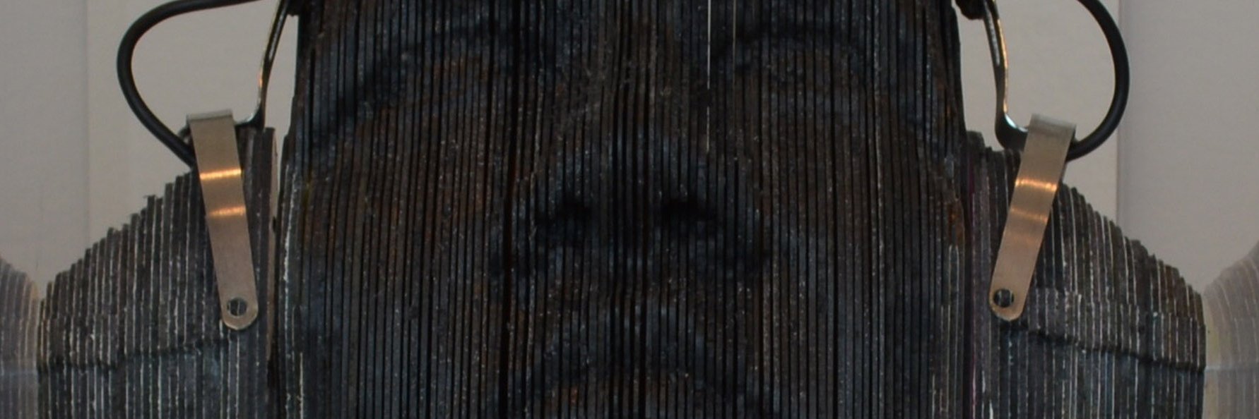 Georges Monfils Official banner