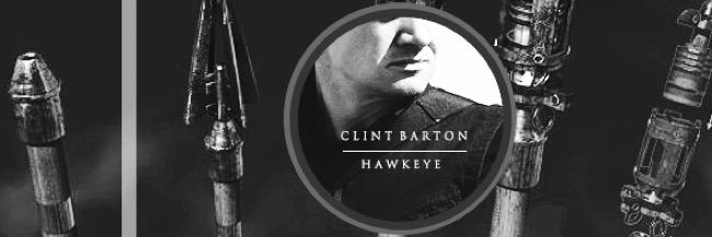 BowsAndHawks's profile banner image
