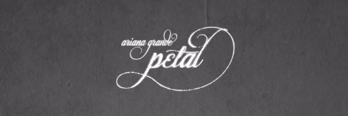 pedrin banner