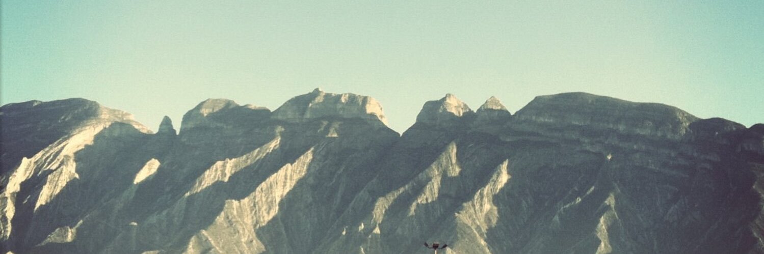 luiselizondo's profile banner image