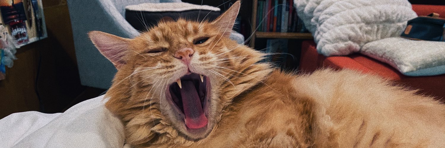 izzytiger22's profile banner image