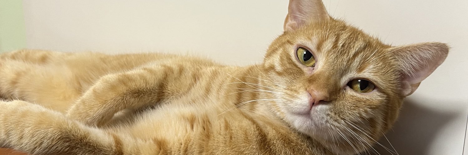 DELTA たつんか banner